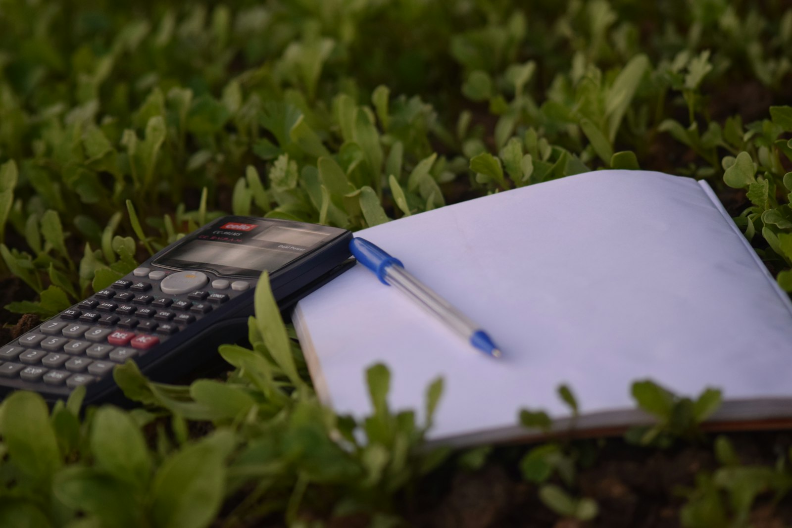 You are currently viewing The Most Important Budget Categories to Track Your Spending